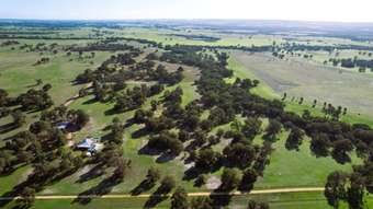 Farm Property for Sale - 136 Wire Road Muckenburra WA 6503