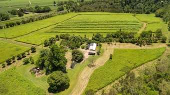 Farm Property for Sale - 69939 Bruce Highway Aloomba QLD 4871