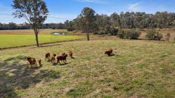 Farm Property for Sale - 30 Diamondfield Road Amamoor QLD 4570