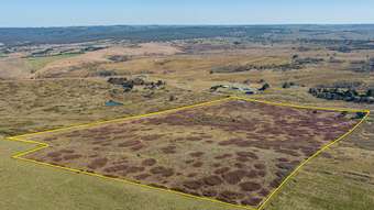 Farm Property for Sale - 175 Pomeroy Mill Ford Road Mummel NSW 2580