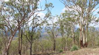 Farm Property for Sale - Budgee QLD 4359