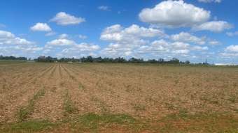 Farm Property for Sale - Daradgee QLD 4860
