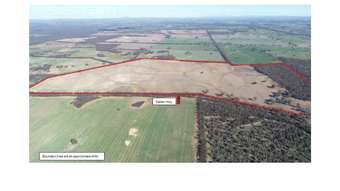 Farm Property for Sale - 54 Calder Highway Wedderburn VIC 3518