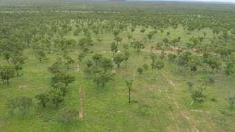 Farm Property for Sale - 7145 Lornesleigh Seventy Mile QLD 4820