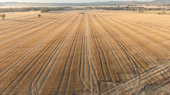 Farm Property for Sale -  Nioka Road Jindera NSW 2642