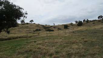 Farm Property for Sale - Lots 67 &  Tarrants Gap Road Wyangala NSW 2808