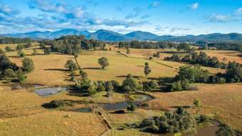 Farm Property for Sale - 231 Upper Rollands Plns Rd Rollands Plains NSW 2441