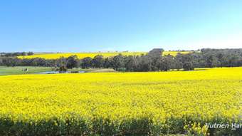 Farm Property for Sale - 1606 Wingebellup Road Frankland River WA 6396