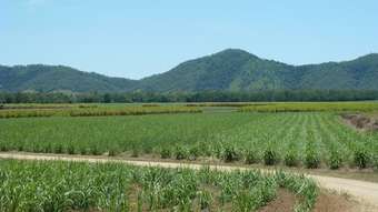 Farm Property for Sale - 4434 Mackay Eungella Road Pinnacle QLD 4741