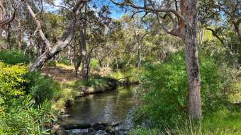 Farm Property for Sale - 45471 South Coast HIghway Kalgan WA 6330