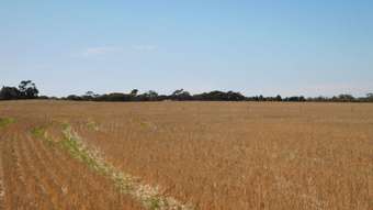 Farm Property for Sale - Lot 3 Golf Course Road Bordertown SA 5268