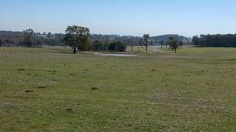 Farm Property for Sale - Garland NSW 2797